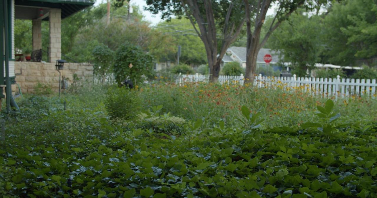 Granbury Gardens Bed And Breakfast Esterno foto