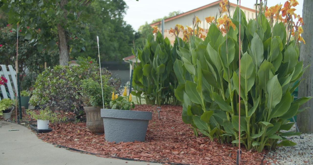Granbury Gardens Bed And Breakfast Esterno foto